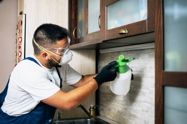 Best Best Pest Control Companies  in Lindale, TX