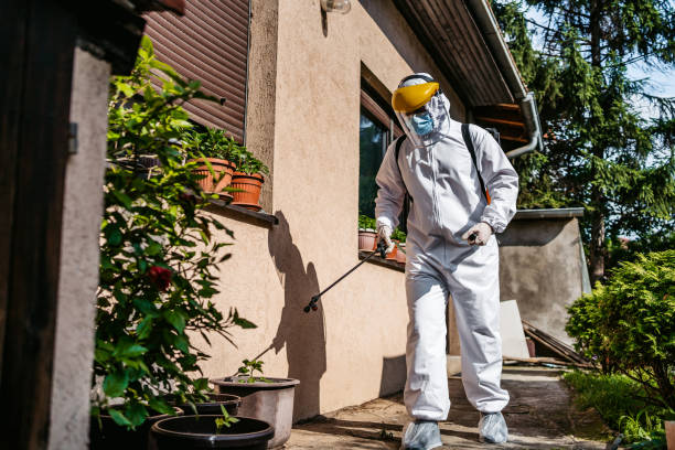 Reliable Lindale, TX Pest Control Solutions