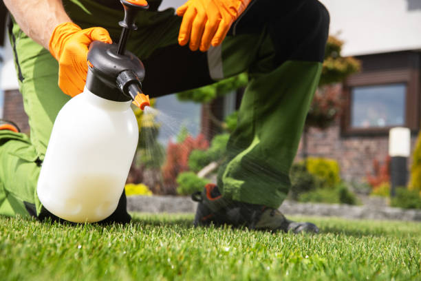 Best Commercial Pest Control Services  in Lindale, TX