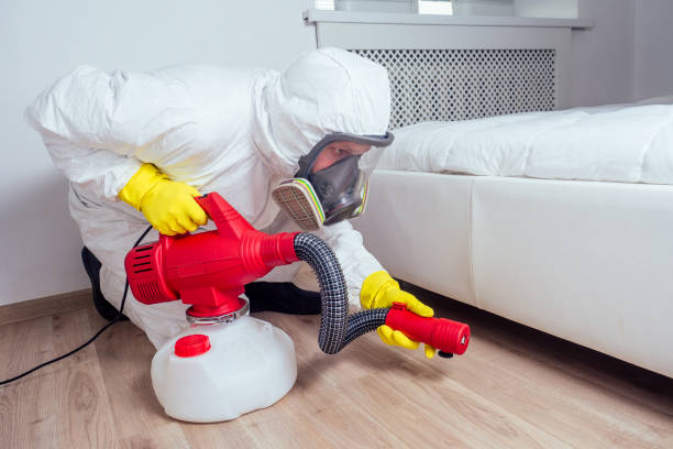 Best Pest Removal Services  in Lindale, TX