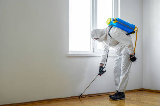Trusted Lindale, TX Pest Control Experts