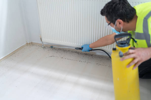 Best Pest Control Near Me  in Lindale, TX