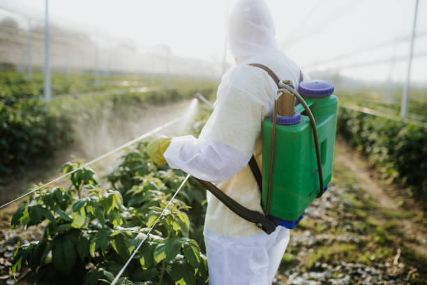 Flea Control Services in Lindale, TX